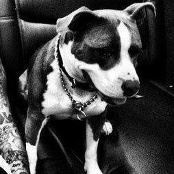 this is my new flame : my breezy