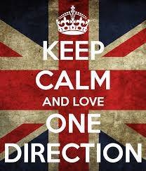 ~Todo por One Direction~