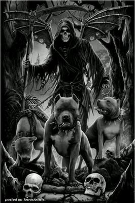 pitbosspatty's profile picture. I love my husband and kids, one of them (@poptartweave),  and my pitbulls, Big fan of #TWD & #SOA.  NO DM's please