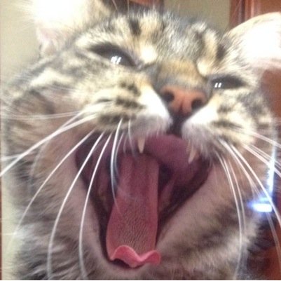 dktiva's profile picture. Uno que va... Me ataron el ombligo con un cordón de zapato