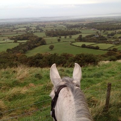 hanv1981's profile picture. Operations Manager at Event Rider Masters.      The biggest & best thing to happen in Eventing!!  #ERMeventing