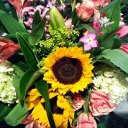 pat merrill - @haftagolf - Twitter