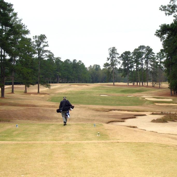 former money changer,  historian, golf range rat, have golf rules book--will travel