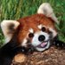 Owen134866 (@owen134866) Twitter profile photo Owen134866 (@owen134866) Twitter profile photo