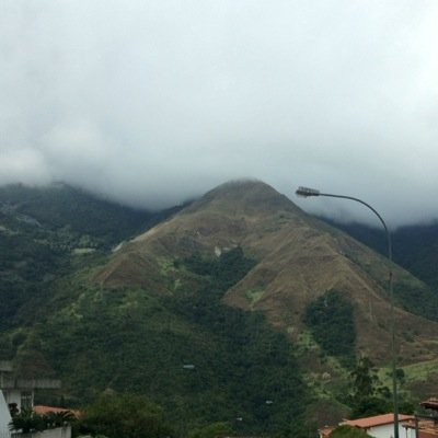 Daniel Benarroch R. Profile