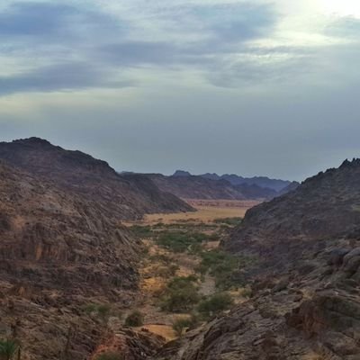 ‏‏‏‏ياغلوتي ياليت سويت لك شيء 
غير الغلا اللي منبعه من حناياي
ياعزوتي وياسلوتي يابعد حي
ياقيل حايل فز قلبي من اقصاي