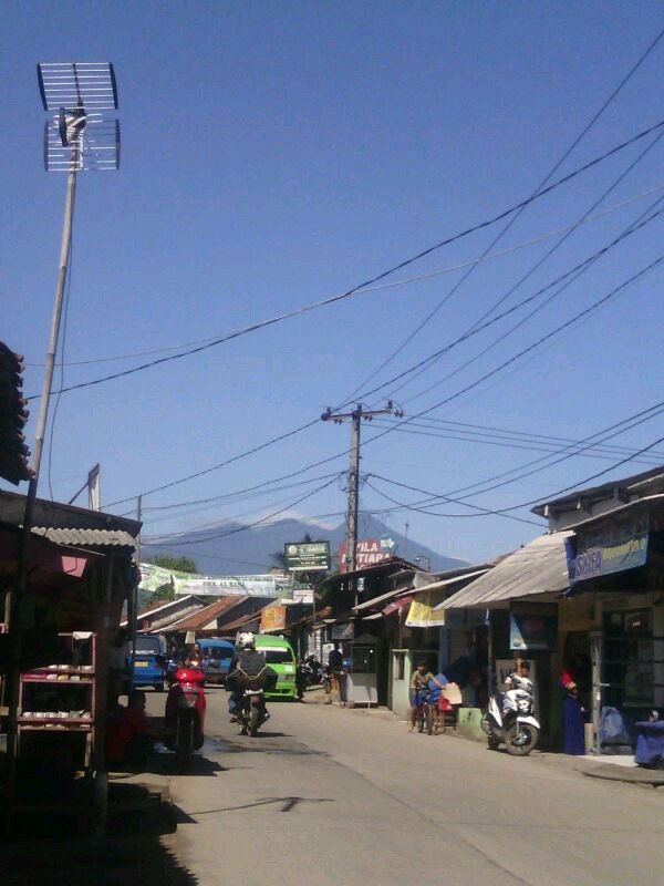 tendiemulia10's profile picture. 