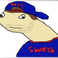 _SwegCity_'s profile picture. Git rekt