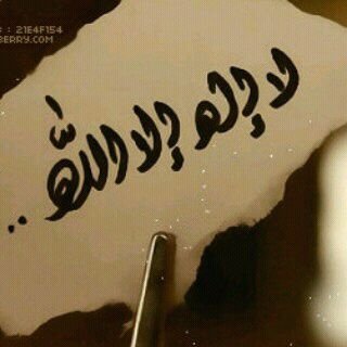 bfthjnbv's profile picture. كل شيء مع التكرار ممل إلا الصلاة تزيدك راحة وسعادة في قلبك وحياتك