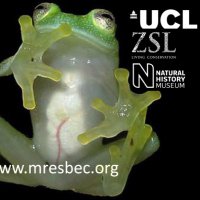 MResBEC (@mresbec) 's Twitter Profile