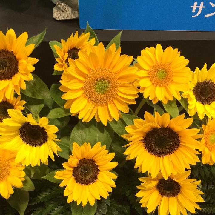 tarouhrhm01's profile picture. お金のせいで夫婦仲が冷え切っていませんか？ネットビジネスで円満な家庭を取戻しましょう！(^0^)/ #ビジネス #稼ぐ #家庭円満 #夫婦円満 #相互フォロー