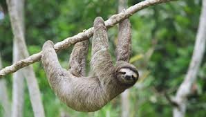 Grosbill9's profile picture. 