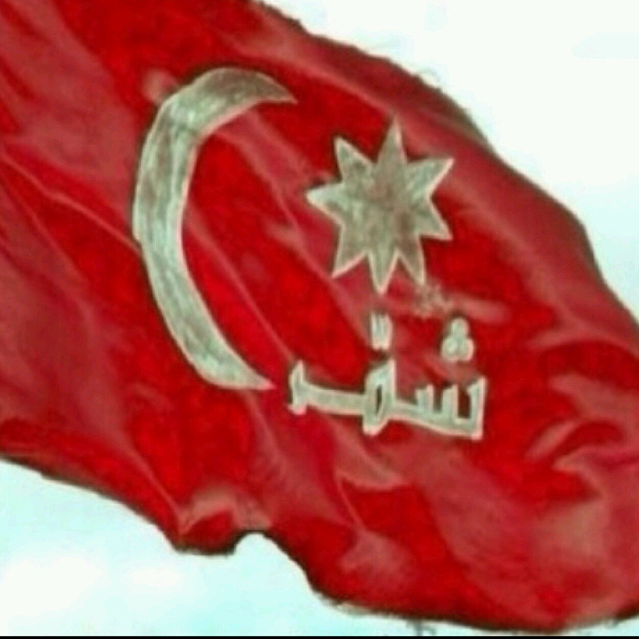 TEREShlwa's profile picture. 