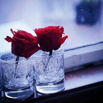 Amoolh834's profile picture. 