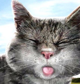 gamavisa_vicky's profile picture. 