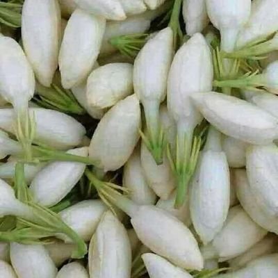 ‏اناjojo