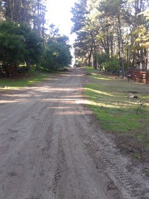 mvsegre's profile picture. Tratar de Ser en toda mi esencia.