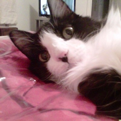 TinaTvsegura's profile picture. 