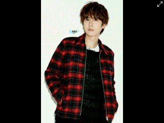Hati Gue cuman buat  ILYS•stepwaneh07{}  | #OKingdom