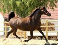 aboood112233001's profile picture. 0500433379 لونجمع  الي فاات من الماال كاان شيدنااء قصور وبنيناااء