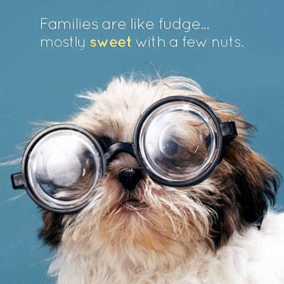 jones_minton's profile picture. 