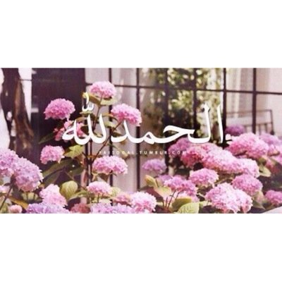 Instagram : Haioooona