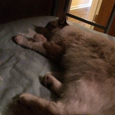 platt0213's profile picture. 