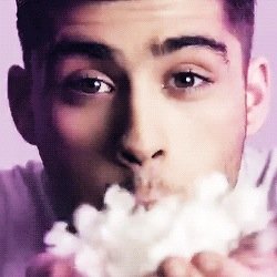 ask for a follow back on @raybanzouis