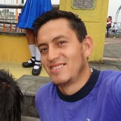 #pollito