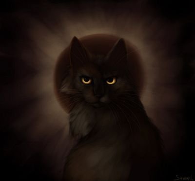 Small, sleek black fur, orange eyed Tom, with long curved claws. Prince of DarkClan/Dark Forest.      [ ❤: @Spotted_Of_MC ] 9 lives