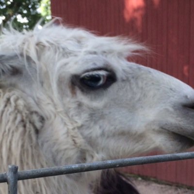 whammond44's profile picture. Portland Oregon - Timbers, Ducks, Blazers