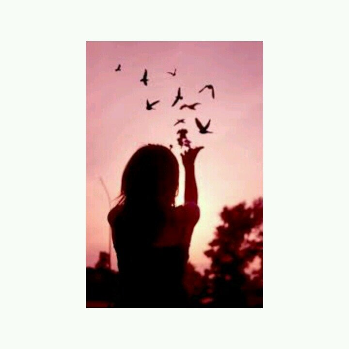 Mizzfrench101's profile picture. 