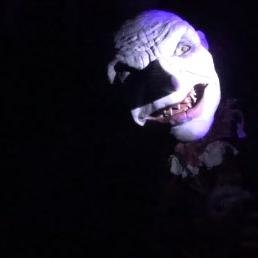 SFX and tech bod, arty fartist, costume & props wench, wine drinker and puppet lover.