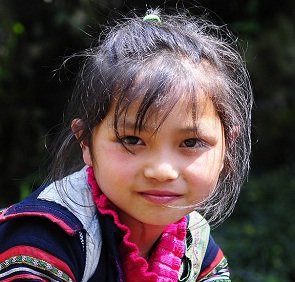 Halong Sapa Tours provide you all best offers of Halong Bay Tours and Sapa Tours. If you have idea to travel to Vietnam, let us help you !