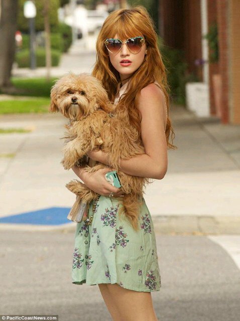 xBellaThrnex's profile picture. Every momment I spent with you is like a beautiful dream come true @AustinMehano♥