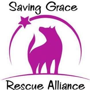 SavingGraceRA's profile picture. We are a group of volunteers working to help meet the needs of animal rescues through online fundraising, fundraising events, and supply donations.