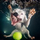 Elizabeth Babb - @kahlualouie - Twitter