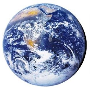 AxisMagnaGroup's profile picture. 