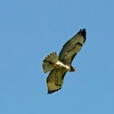 Patrick Blaylock - @patrickw6sps - Twitter