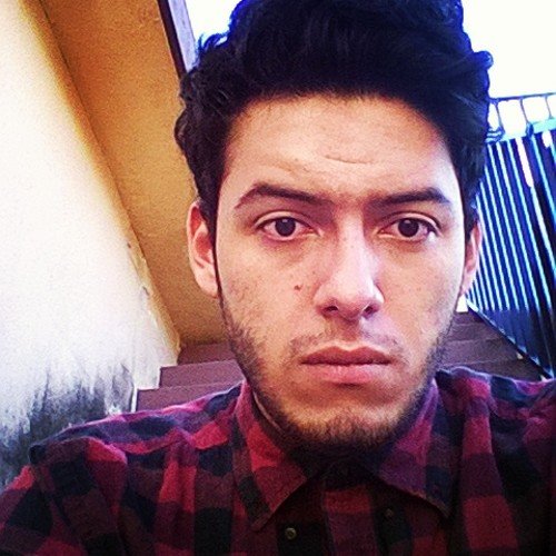 6stringedpancho's profile picture. Mitad hombre, mitad oso, mitad cerdo.