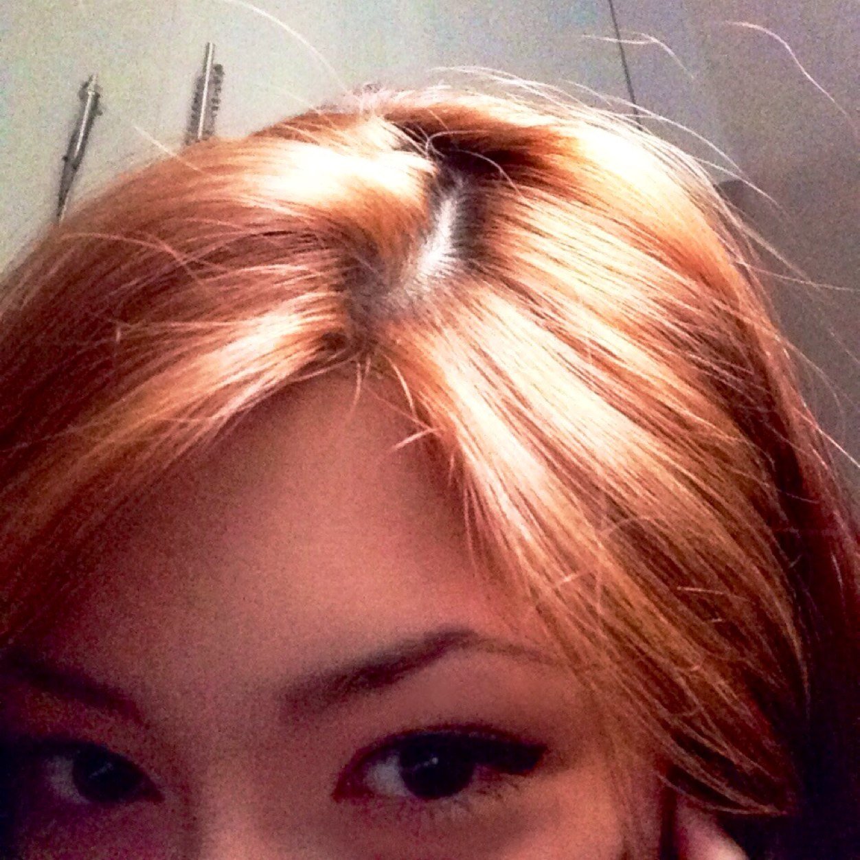pupulga Profile Picture