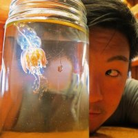 Reyn Yoshioka (@theredshrimp) 's Twitter Profile