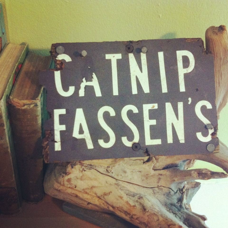 CatnipFassens's profile picture. Gamer. Streamer. Bone Collector. Follow me on Twitch for choice random variety stream content and more!