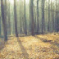 장주일 (@sunday2728) 's Twitter Profile