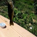 Seth McMullen - @sethmcmullen13 - Twitter