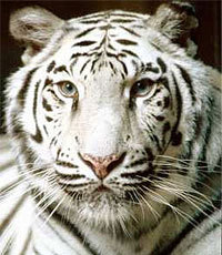 my_new_year's profile picture. sport & drink & travels