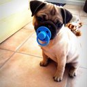 trinity rose neal - @jav_la_fal_lol - Twitter