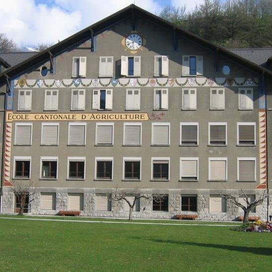 EAVChateauneuf's profile picture. Une formation de base et continue de qualité dans l'agriculture, l'arboricuture, les cultures maraîchères, la viticulture, l'oenologie et le paysagisme