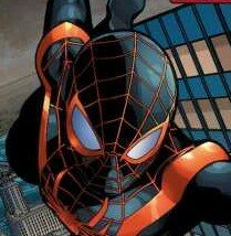 A 14 year old kid from Brooklyn; who takes on the Spider-Man identity, and the responsibility, after Peter Parker's death.