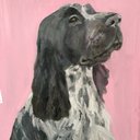 Alex Baxter (@alexportraits1) Twitter
